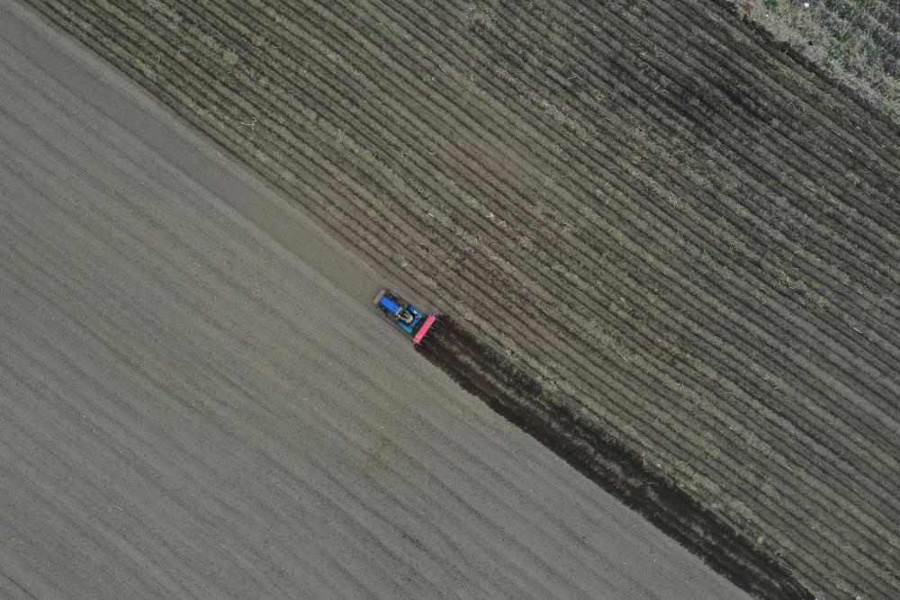 吉林省安圖縣龍山村農(nóng)民在田間播種玉米（5月8日無人機(jī)拍攝）。新華社記者　林宏　攝